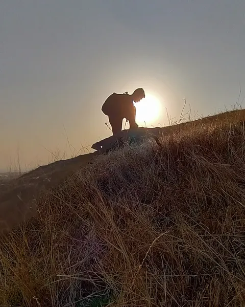 Climbing a grassy hill at golden hour